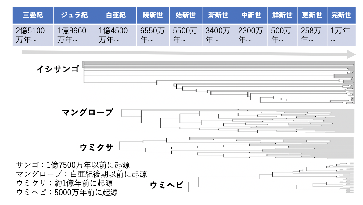 名称未設定6