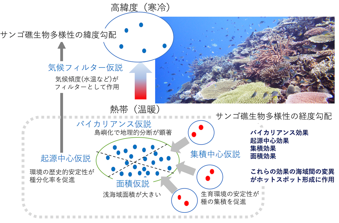 名称未設定6