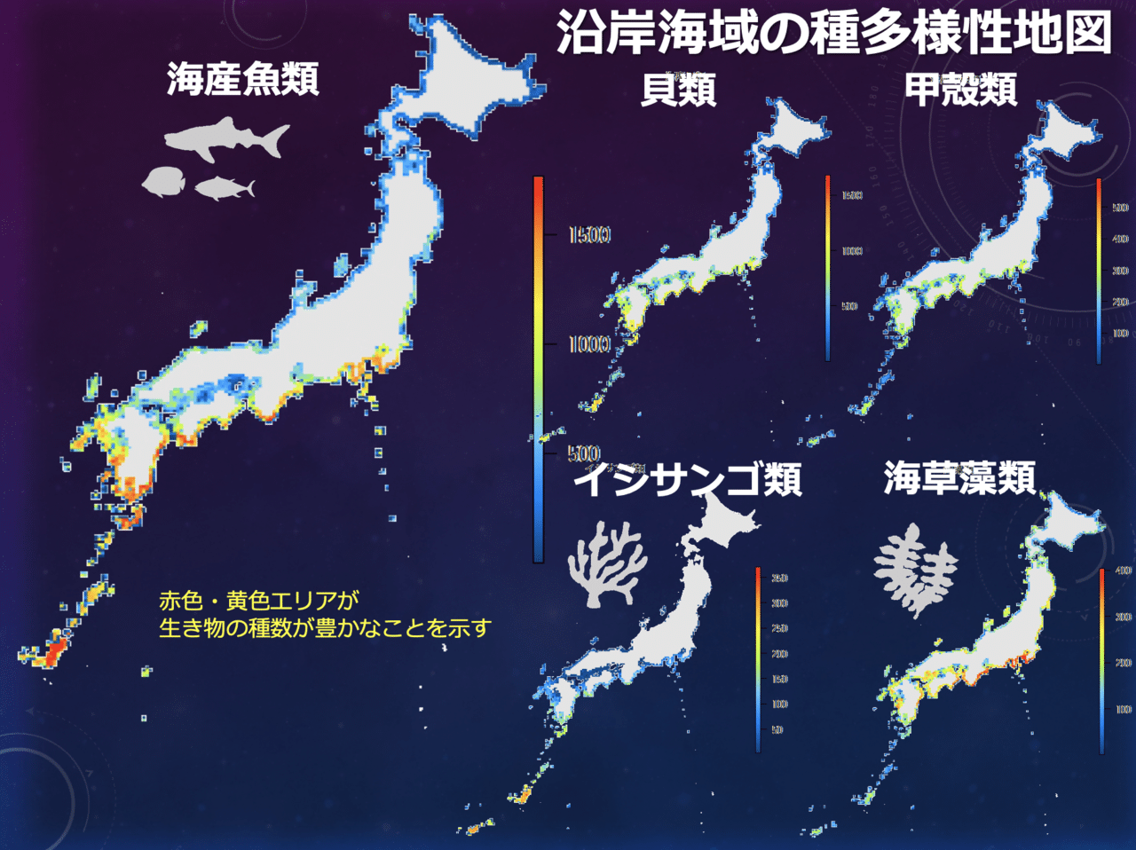 沿岸海域多様性