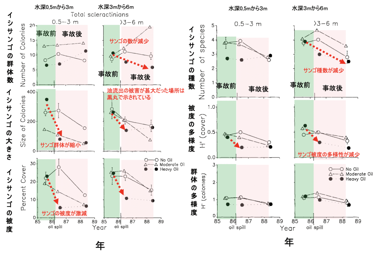 名称未設定