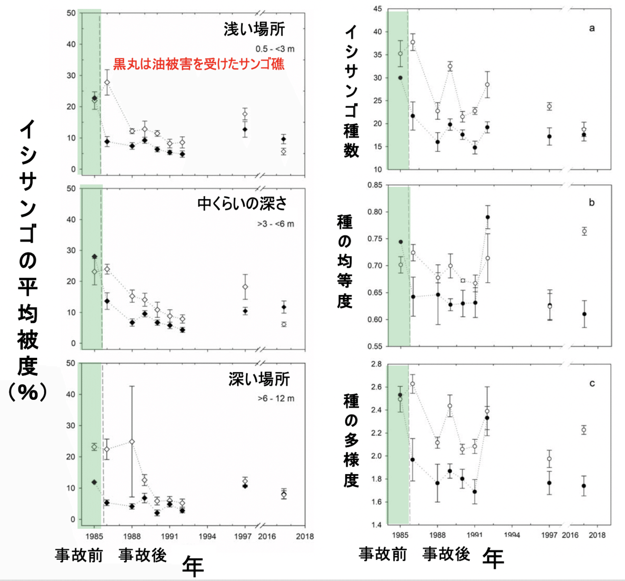 名称未設定