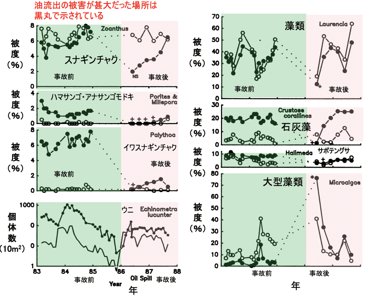 名称未設定