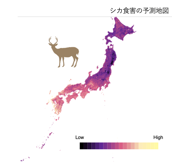 スクリーンショット 2019-10-09 07.07.10