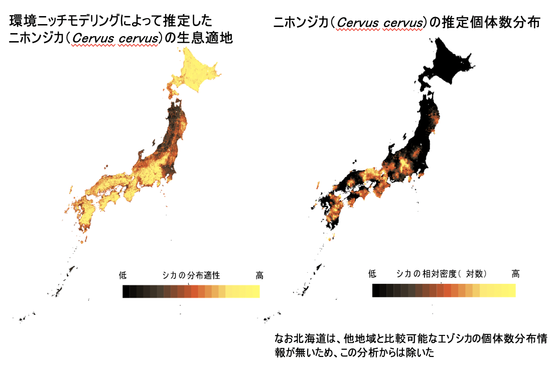 スクリーンショット 2019-10-09 07.05.49