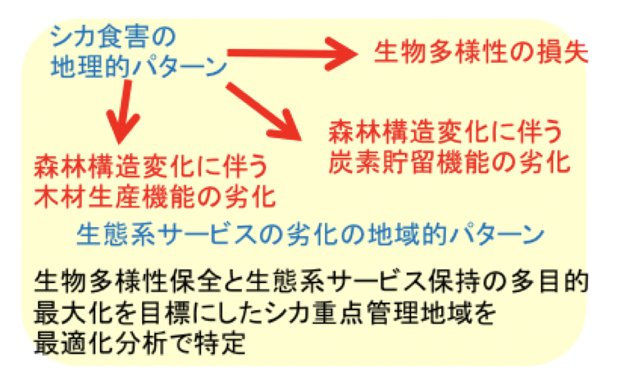 スクリーンショット 2019-10-09 06.47.35