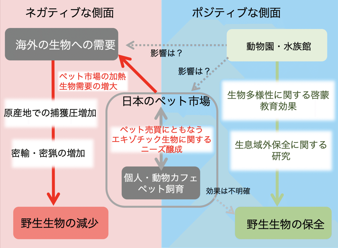 名称未設定