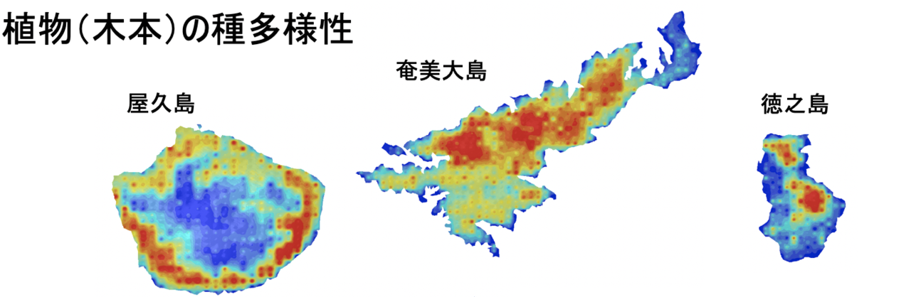 名称未設定