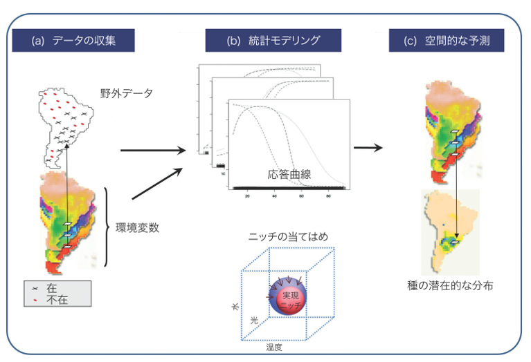 図1