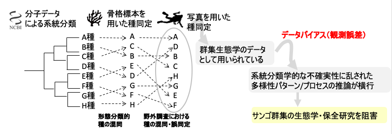 スクリーンショット 2019-10-07 11.22.49