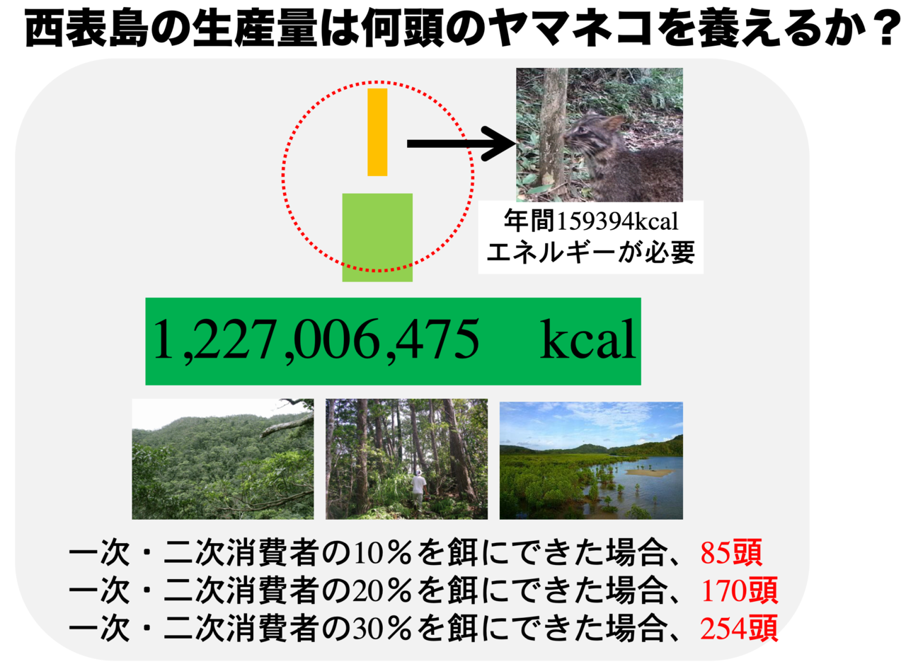 スクリーンショット 2019-09-24 10.02.57