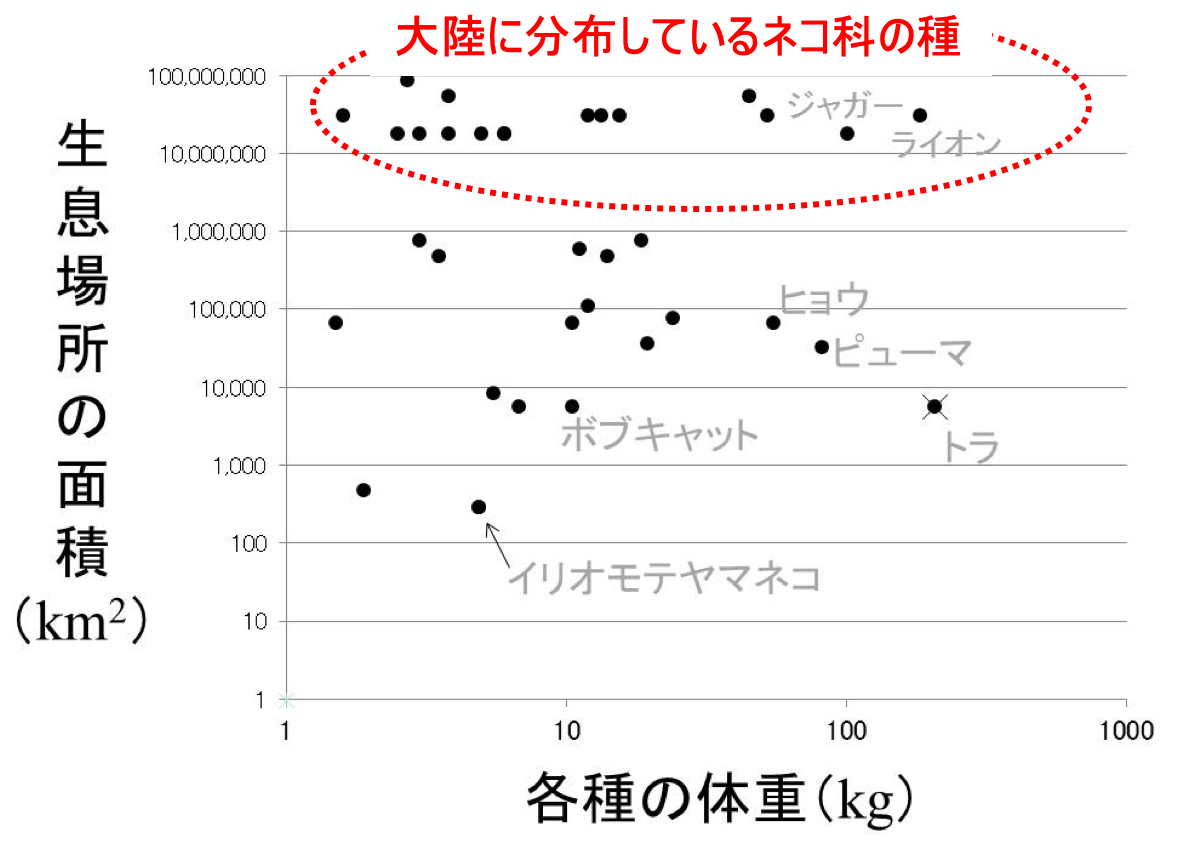 スクリーンショット 2019-09-24 10.13.27