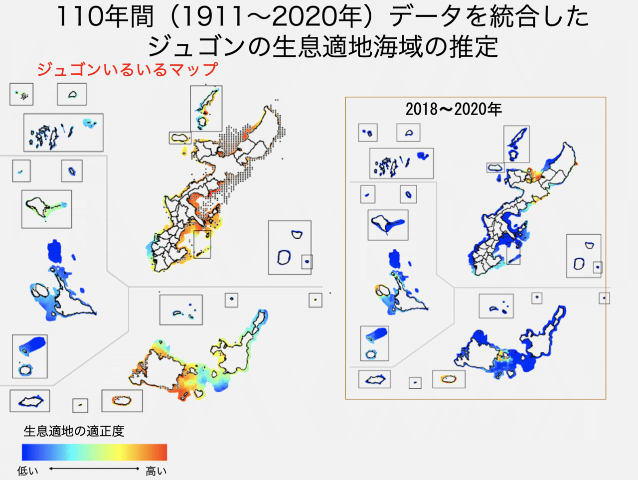 ジュゴン10