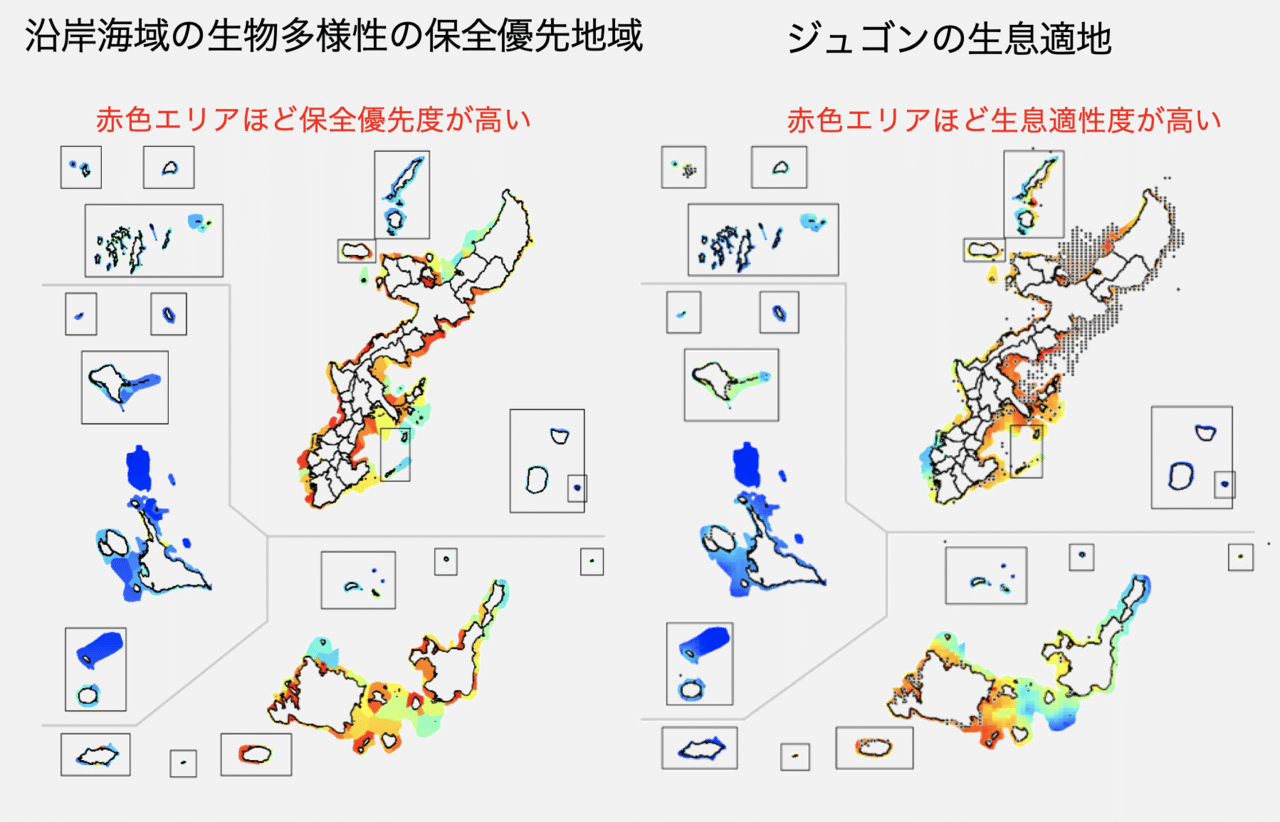 ジュゴン7