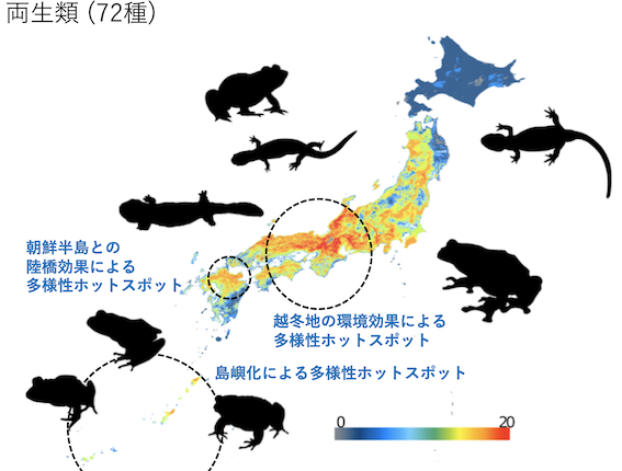 スクリーンショット 2019-10-12 15.31.38