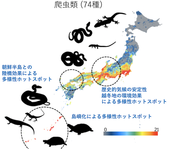 スクリーンショット 2019-10-12 15.31.23