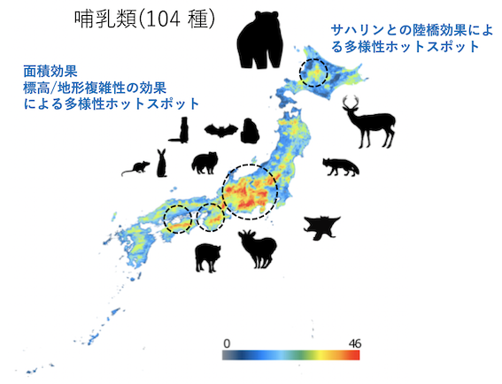 スクリーンショット 2019-10-12 15.31.04