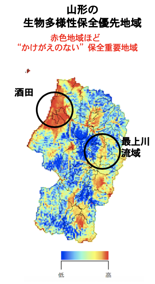 名称未設定