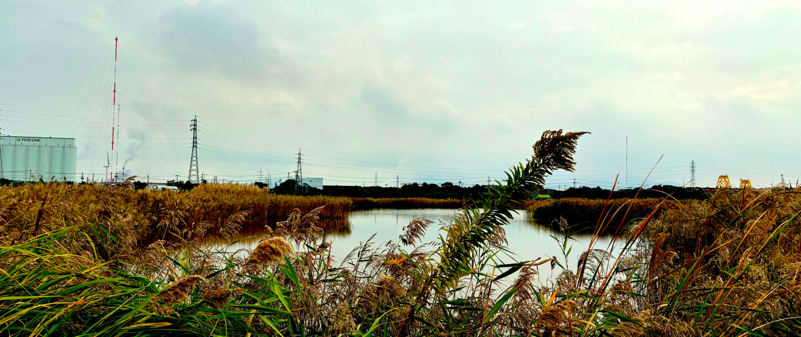 当社代表久保田が「北九州市ネイチャーポジティブ経営シンポジウム」に登壇します。