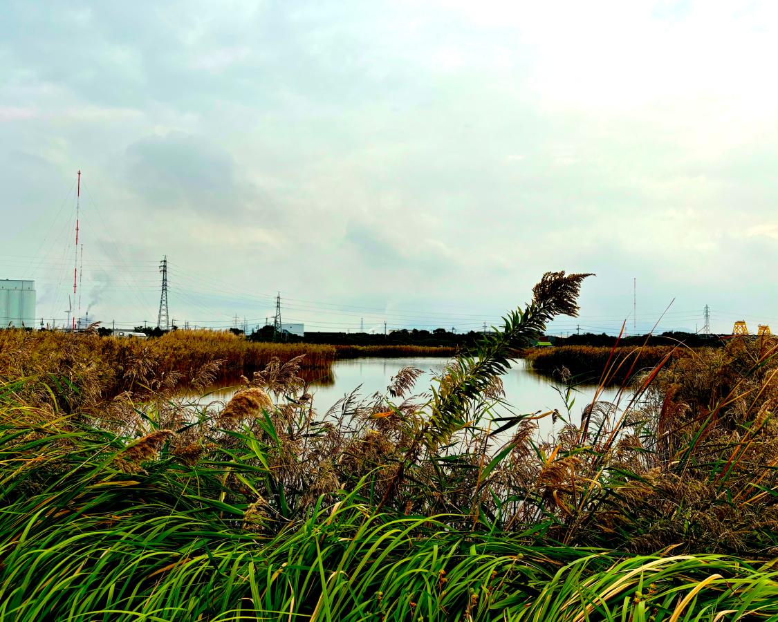 当社代表久保田が「北九州市ネイチャーポジティブ経営シンポジウム」に登壇します。
