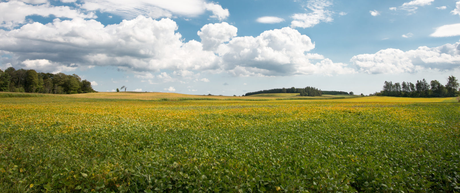 【導入事例】阪急阪神ホールディングス株式会社_統合報告書