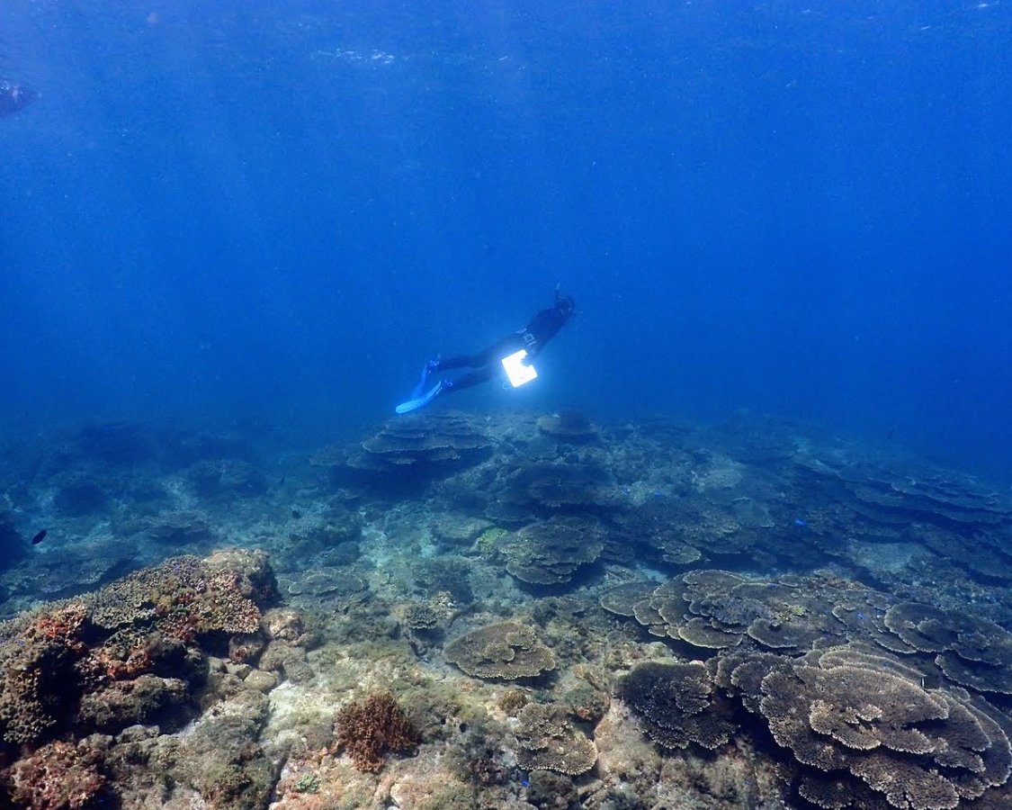 当社代表久保田が「海洋生物ビッグデータ活用技術高度化」に関する公開シンポジウムに登壇します。