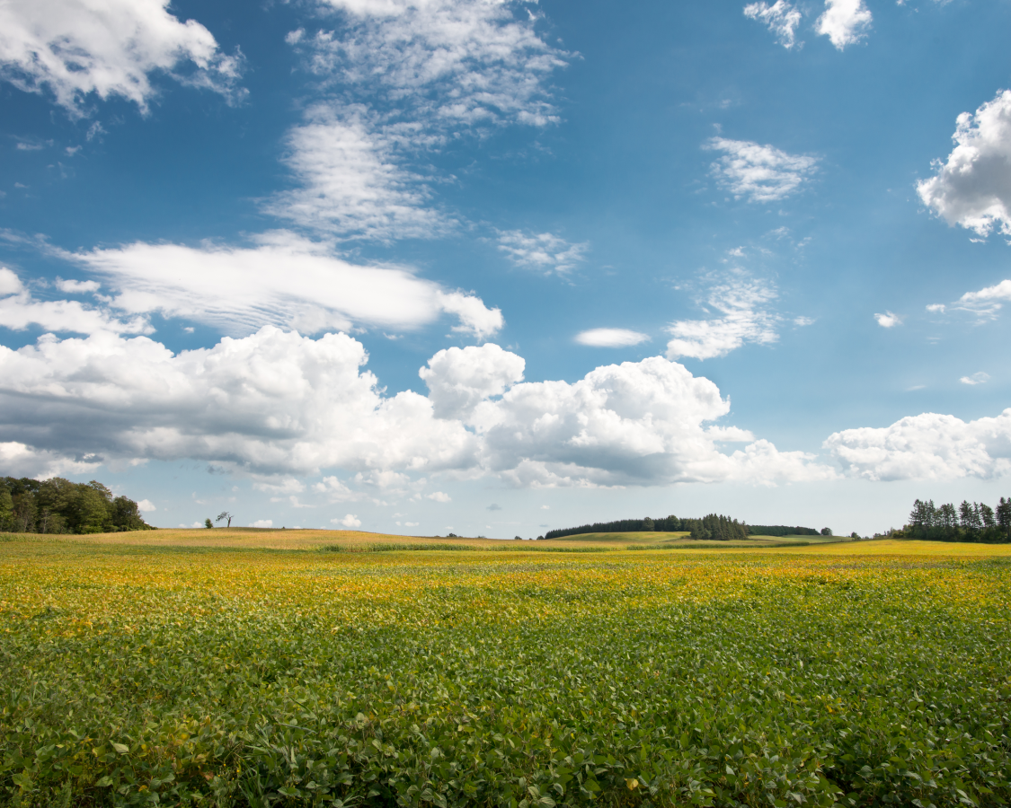 【導入事例】阪急阪神ホールディングス株式会社_統合報告書