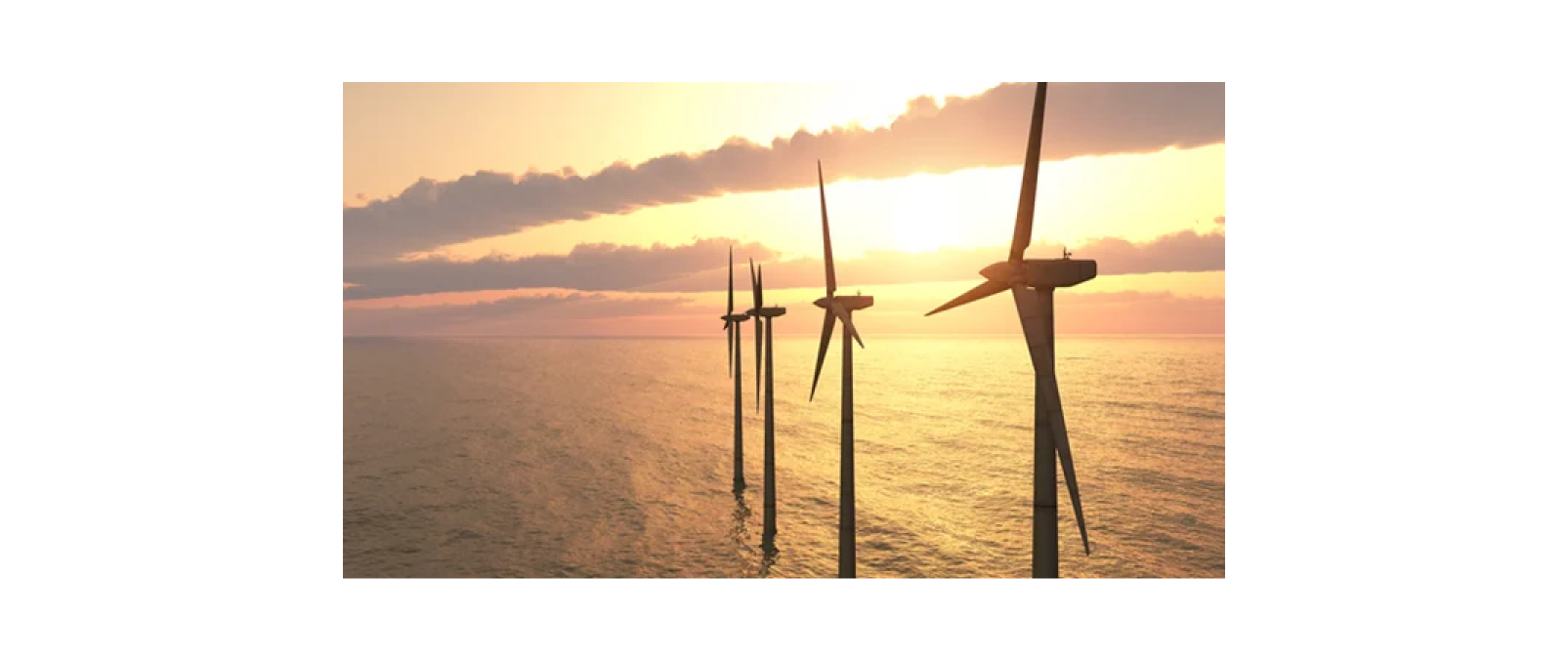 洋上風力発電の環境影響評価の高度化プロジェクト始動