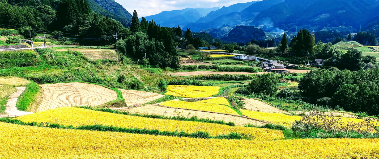 当社の取締役五十里が「棚田×生物多様性×企業連携を考える棚田LOVERS 活動報告・交流フォーラム」に登壇します。