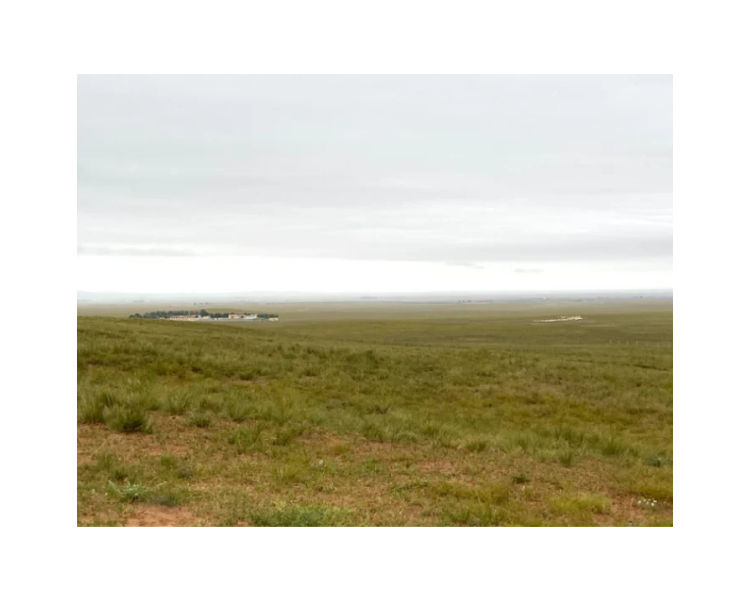 アパレルビジネスにおける気候・自然を統合した事業アクションの提案