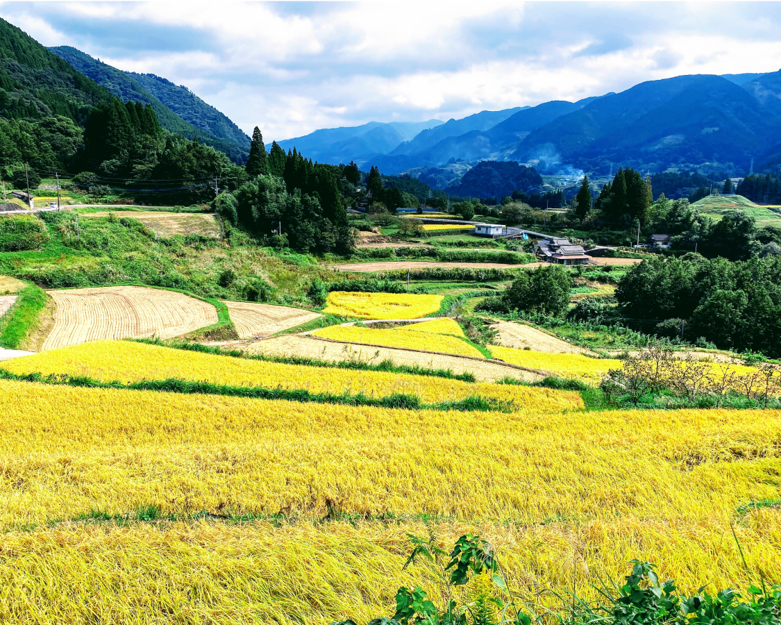 当社の取締役五十里が「棚田×生物多様性×企業連携を考える棚田LOVERS 活動報告・交流フォーラム」に登壇します。
