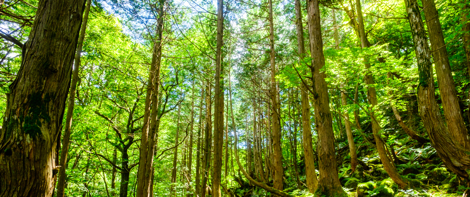 【導入事例】株式会社SANU_Regenerative Action Report 2026