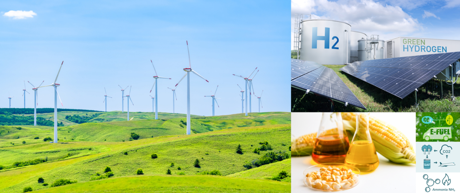 20260415_再生可能エネルギー・次世代燃料関連事業のイノベーター戦略