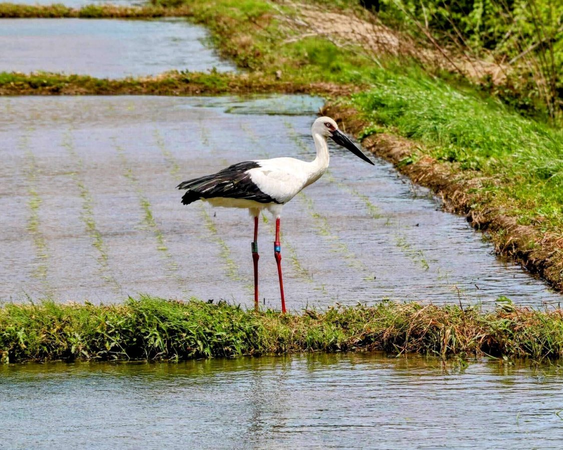 当社代表久保田が第6回「⾷料・農林⽔産分野におけるGX加速化研究会」に登壇します。